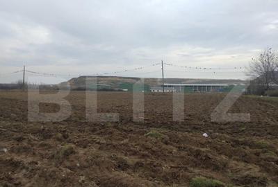 Teren intravilan de 13.000 mp, zona Parcul Tineretului - 2