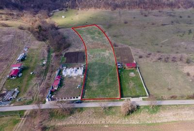 Teren agricol extravilan de 6800 mp, în Josani