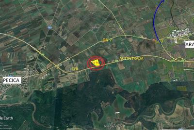Teren de 200000 mp, în Pecica - 2