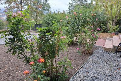 Casa de vanzare - CENTRU Dezmir-CLUJ , individuala, proprietar - 4