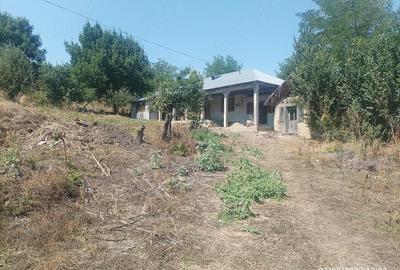 Casă cu Teren 25000 Mp în Blăgești - 4