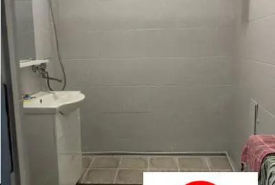 De inchiriat parterul unei case in Sancrai - 11