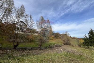 Teren de Vis in Bran - 1000mp Plat, Liniste Absoluta si Aer Curat - 15