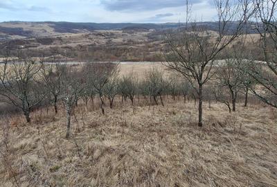 Spațiu comercial, în Hunedoara - 4