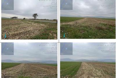 Teren de 2900 mp, în Tărlungeni - 5