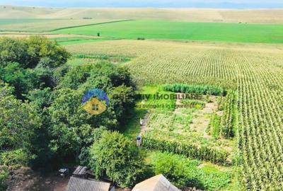 TEREN intravilan 9.126 mp - comuna STEFAN cel MARE - 4