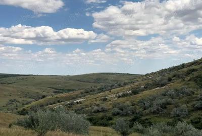 Vanzare 50 Ha pasune, judetul Prahova - 10