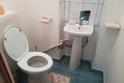 Apartament 4 camere cu centrala proprie Titan Postavarului - 9