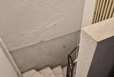 De vânzare Vilă individuala 11 camere curte proprie Parcul Carol - 40