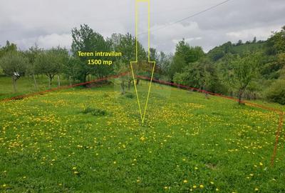 Teren intravilan, 1500 mp, Bran - 15