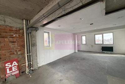 Proprietate specială, de 800 mp, în Theodor Pallady - 30