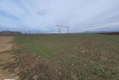 Spațiu comercial, în Centură - 1