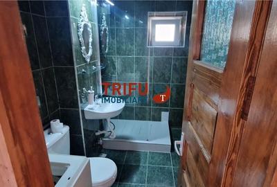 Apartament cu 2 camere semidecomandat în Cetate - 9