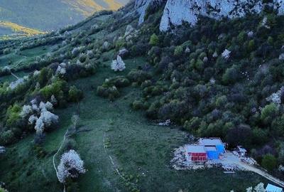 Teren de 25000 mp, în Vulcan - 1