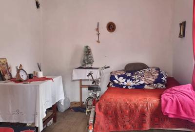 Casa de vanzare la tara - 1