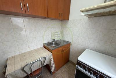 Garsonieră semidecomandată, mobilată în Brazda lui Novac - 3