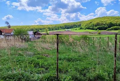 Teren de 900 mp, în Vâlcele - 3