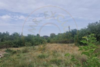 TEREN POIANA LACULUI - 2