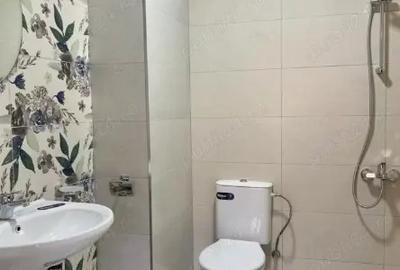 'The little house' de inchiriat de craciun,revelion - 6