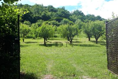 Teren extravilan  de vanzare | 4288 mp | in Gusterita - 1