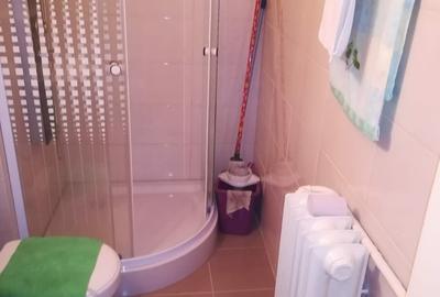 Garsonieră decomandată în Costin Georgian - 5