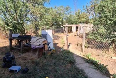 Casă cu 4 camere în Botoroaga - 5