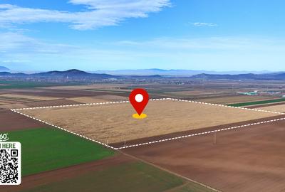 Teren 32,5 Ha compact Prejmer, Brasov. Imagini drona,tur/360 - 2