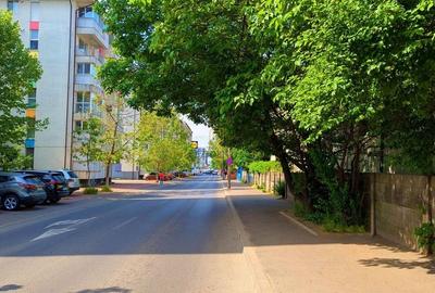 Spatiu comercial 123 mp, vitrina 15 ml, stradal Drumul Binelui - 3