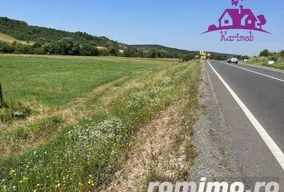 Teren intravilan Hidiselul de Sus - 8