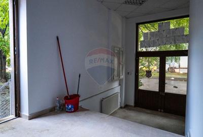 INVESTITIE - Vanzare vila finalizata S+P+2E+M, zona Doamna Ghica - 29