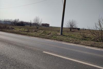 Teren de 5000 mp, în Frumușani - 7