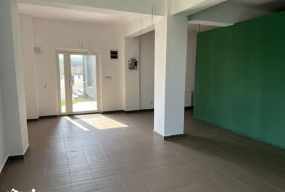 Spațiu comercial, de 127 mp, în Viișoara - 6