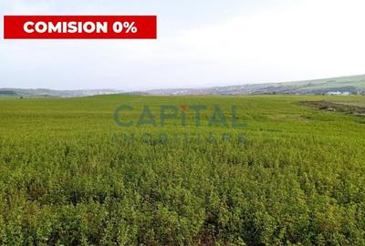 Teren intravilan 5500 mp Comuna Sandulesti - 1