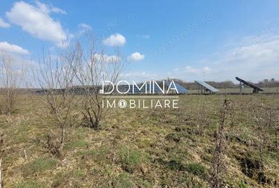 Teren de 978 mp, în Drăguțești - 1