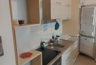 Apartament cu 2 camere, mobilat în Ferdinand - 12