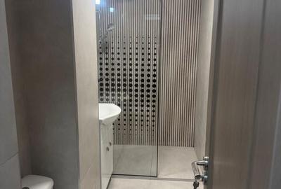 Garsonieră decomandată în Malu Roșu - 6