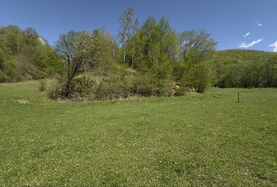 Spațiu comercial, în Făget - 2