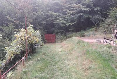 Casă cu 2 camere cu Teren 1000 Mp în Vulcan - 3