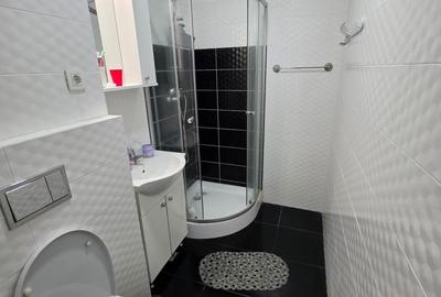 Apartament cu 2 camere semidecomandat în Giurgiului - 12