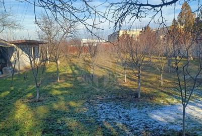 Casă cu Teren 3800 Mp în Albert