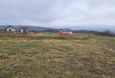 Teren de 656 mp, în Tomești - 7