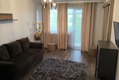 Apartament cu 2 camere decomandat în Beba Veche - 8