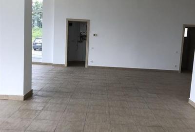 Spatiu comercial 85 mp zona Doamna Stanca - 3