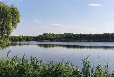 Teren Construcții intravilan de 25000 mp, în Petrăchioaia - 3