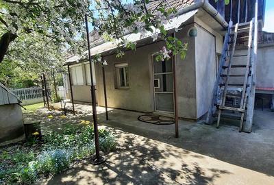 Casă cu 3 camere cu Teren 1350 Mp în Sărmașu - 4