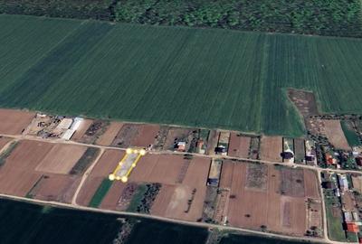 Teren agricol intravilan de 1000 mp, în Moara Vlăsiei - 4