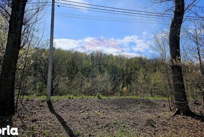 Teren de 10000 mp, în Vânători-Neamț - 5