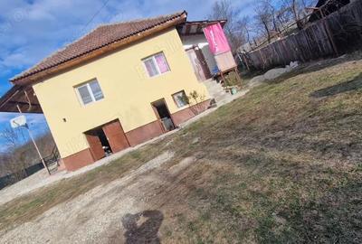 Casă cu 1 camere cu Teren 1000 Mp în Mijlocu - 9