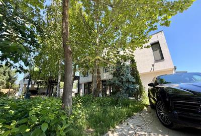 Casă individuală cu 6 camere cu Canalizare în Berceni - 40