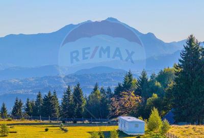 COMISION 0% Teren 19.300 mp/?irnea/ Oportunitate de inve... COMISION 0% Teren 19.300 mp/?irnea/ Oportunitate de inve... - 5